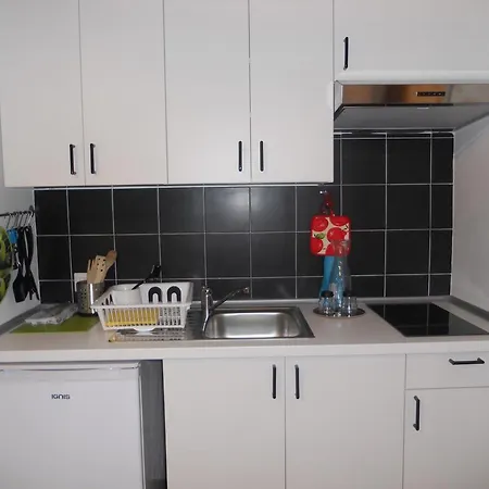 Apartment Alpini Chiesa in Valmalenco